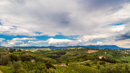 Fototapeta na wymiar Stormy day in the vineyards of Brda, Slovenia