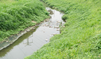  river flowing through green grass