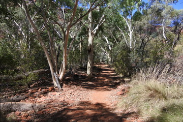 Fototapeta premium Schattiger Wanderweg im Kings Canyon in Australien