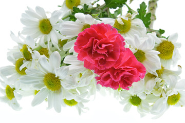 bouquet of carnations and daisies isolated on white background