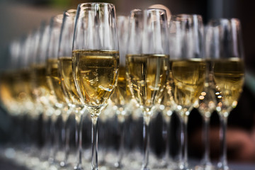 Luxury champagne glass rows