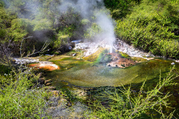 volcanic activities at waimangu 