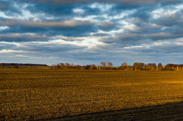 Early spring landscape in a field near the forest