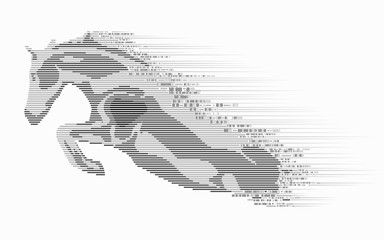 Fototapeta premium binary horse