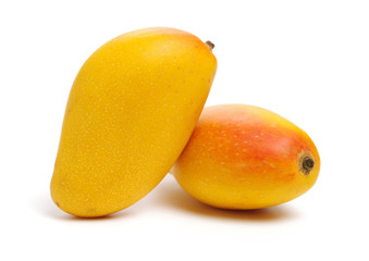 Mango on white background