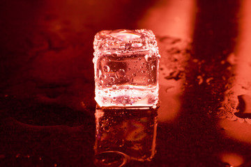 Wet ice cubes on black background with red light.