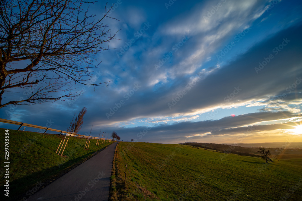 Canvas Prints Sunrise in spring field at early morning