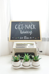 Empty wooden frame blackboard with small plants placed to decorate on table for valentine or wedding day concept.
