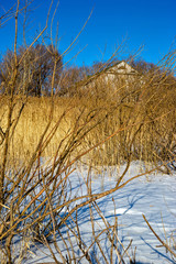 winter landscape with trees and snow