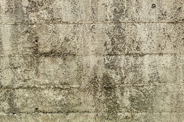 Stripped Concrete Texture