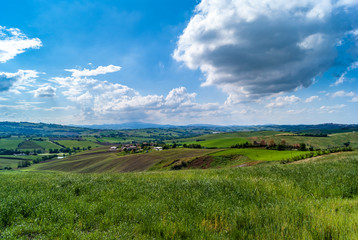Fototapeta na wymiar Paesaggio rurale marchigiano