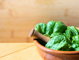 Fresh basil with mortar in a ceramic cup with wooden background