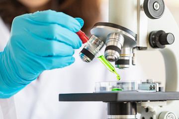 Scientist dropping liquid to petri dish..