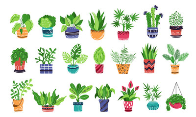 Vector HousePlants Set