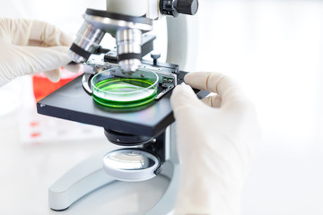 Scientist adjusting microscope for experiment..