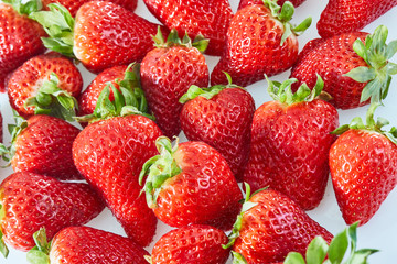 frische Erdbeeren
