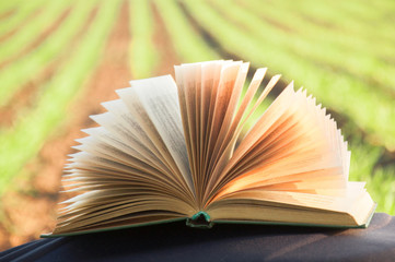 Summer backgound with open book and bokeh