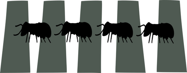 Beetles Crossing Parody - obrazy, fototapety, plakaty