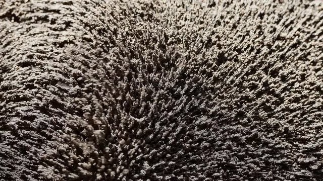 The magnetic field affects iron shavings and powder. Magnet and electricity. Abstraction and texture in gray background.