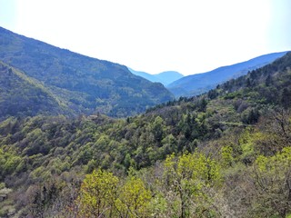 Fototapeta premium Bulgarian Mountains