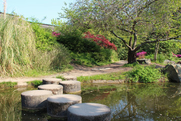 A japanese garden in Nantes (France)