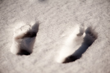 Top view of bare foot prints in the snow