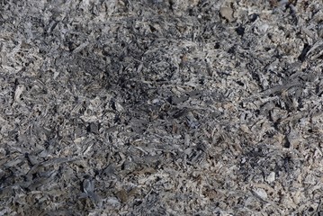 gray natural texture of ash in an extinct campfire