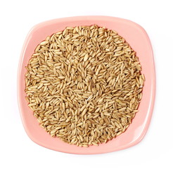 Peeled oat grains in bowl isolated on white background