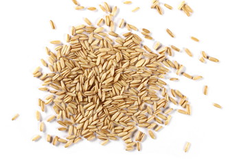 Peeled oat grains isolated on white background