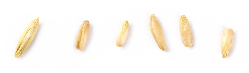 Peeled oat grains isolated on white background, macro