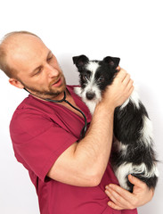 Veterinary doctor holds a small mongrel dog