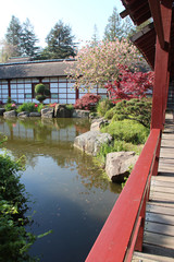 Fototapeta premium A japanese garden in Nantes (France)