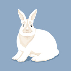 Cute white rabbit sitting on blue background.