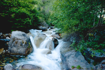 Río de montaña caudaloso con piedras redondeadas 