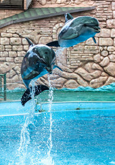 Two dolphins jumping from the pool in the park