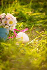 Fototapeta na wymiar Easter eggs and daisies in the grass