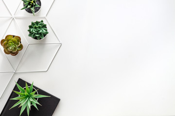 White empty background with space for text. Copy space. Top view for succulents. White geometric pattern. Black notebook on the desk