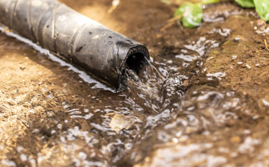 Water from a hose pours on the ground in the garden