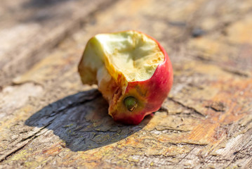 Apple core on wooden background