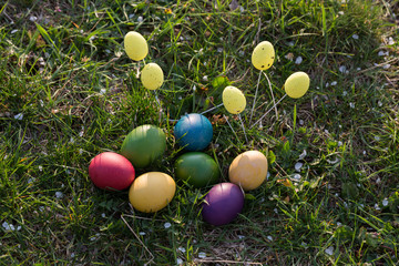 Fototapeta na wymiar Colorful Easter eggs in the nature.