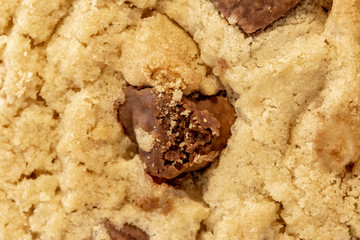 chocolate cookie close up background