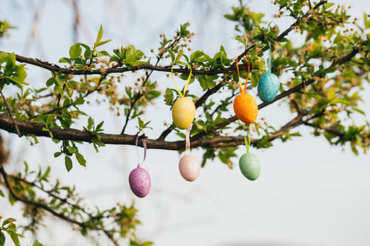Colorful Easter eggs on blin the nature.