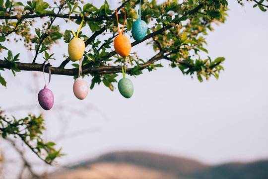 Colorful Easter eggs on blin the nature.