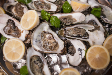Oysters on a metal tray with lemon