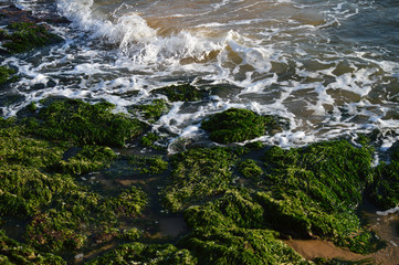 Beautiful Sicilian Seascape, Mediterranean Sea, Donnalucata, Scicli, Ragusa, Italy, Europe