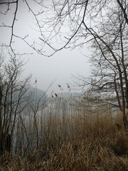 Ausblick