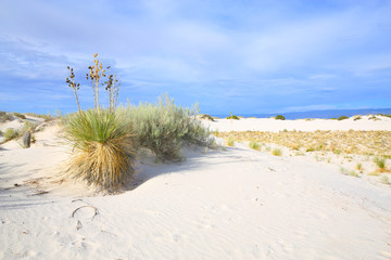 White Sands National Monument in New Mexico, USA