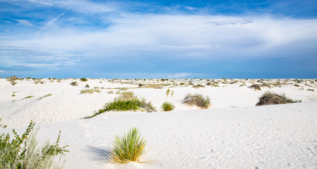 White Sands National Monument in New Mexico, USA