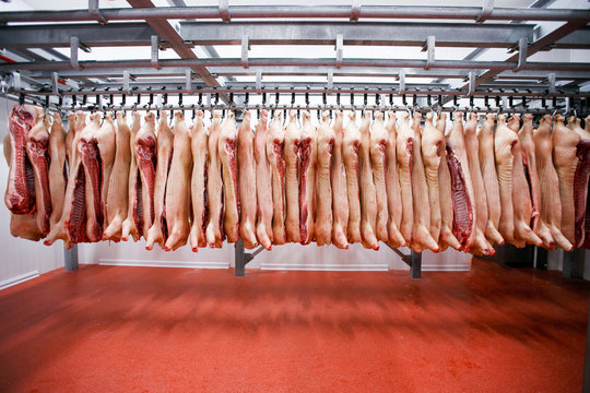 256 Meat Freezer Stock Videos, Footage, & 4K Video Clips - Getty Images