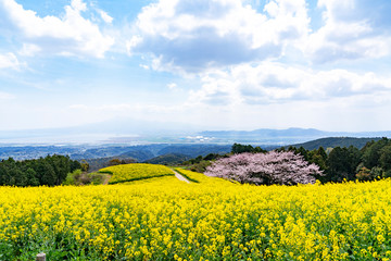 [長崎県]諫早白木峰高原の風景